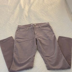 Loft Pants